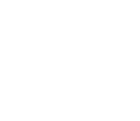 Vue
